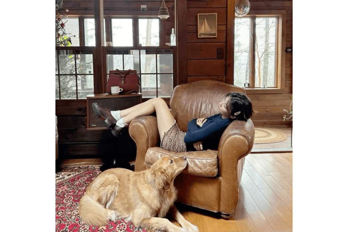 (H1) Lớp vỏ kiêu hãnh - Khi sự tự tin là lớp áo rỗng.png