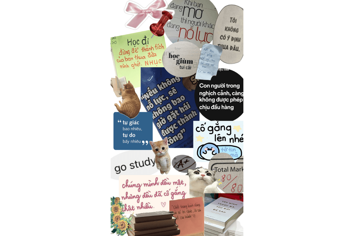 (H1) Viết nhật ký cảm xúc có thực sự giúp giảm căng thẳng.png