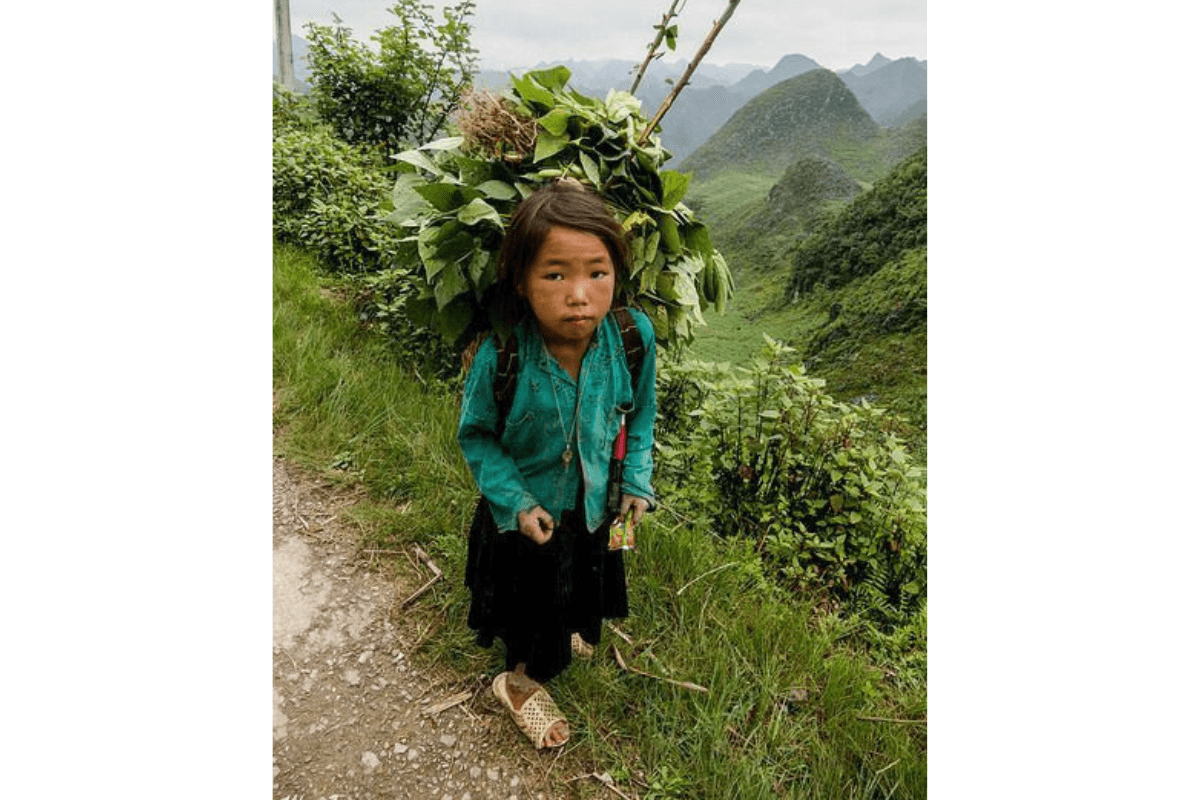 (H3) Thực trạng tâm lý trẻ em tại Việt Nam Vì sao chưa được quan tâm đúng mức.png