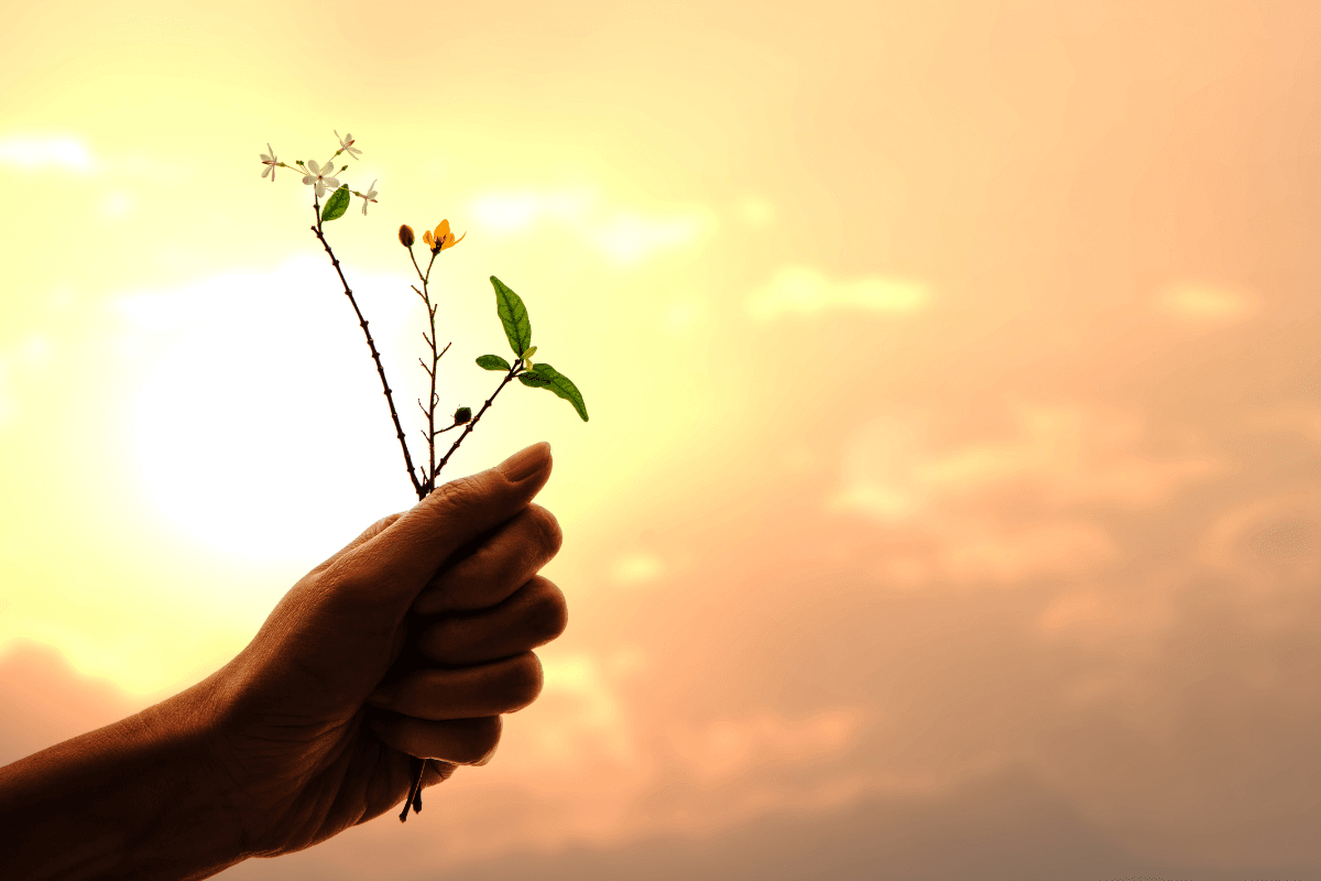 Template Ảnh bài viết web tâm lý (27).png