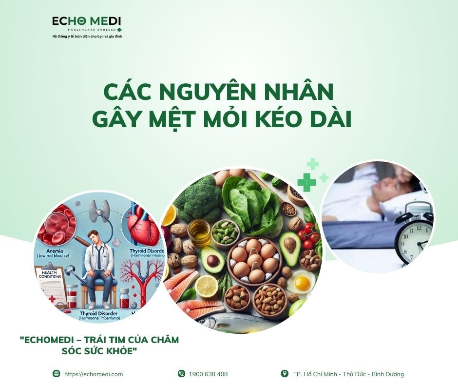 hình 1.jpg